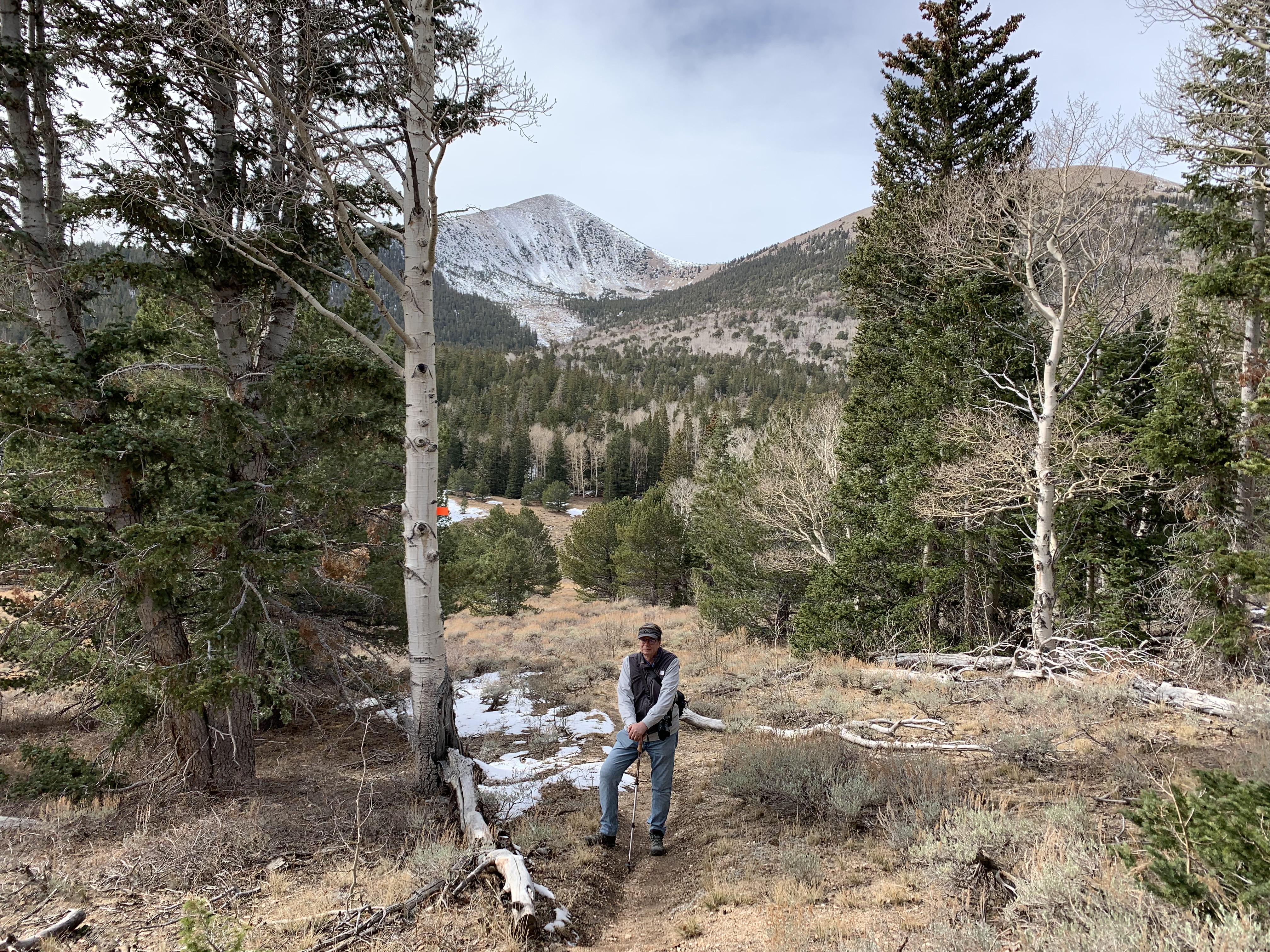 Great Basin NP